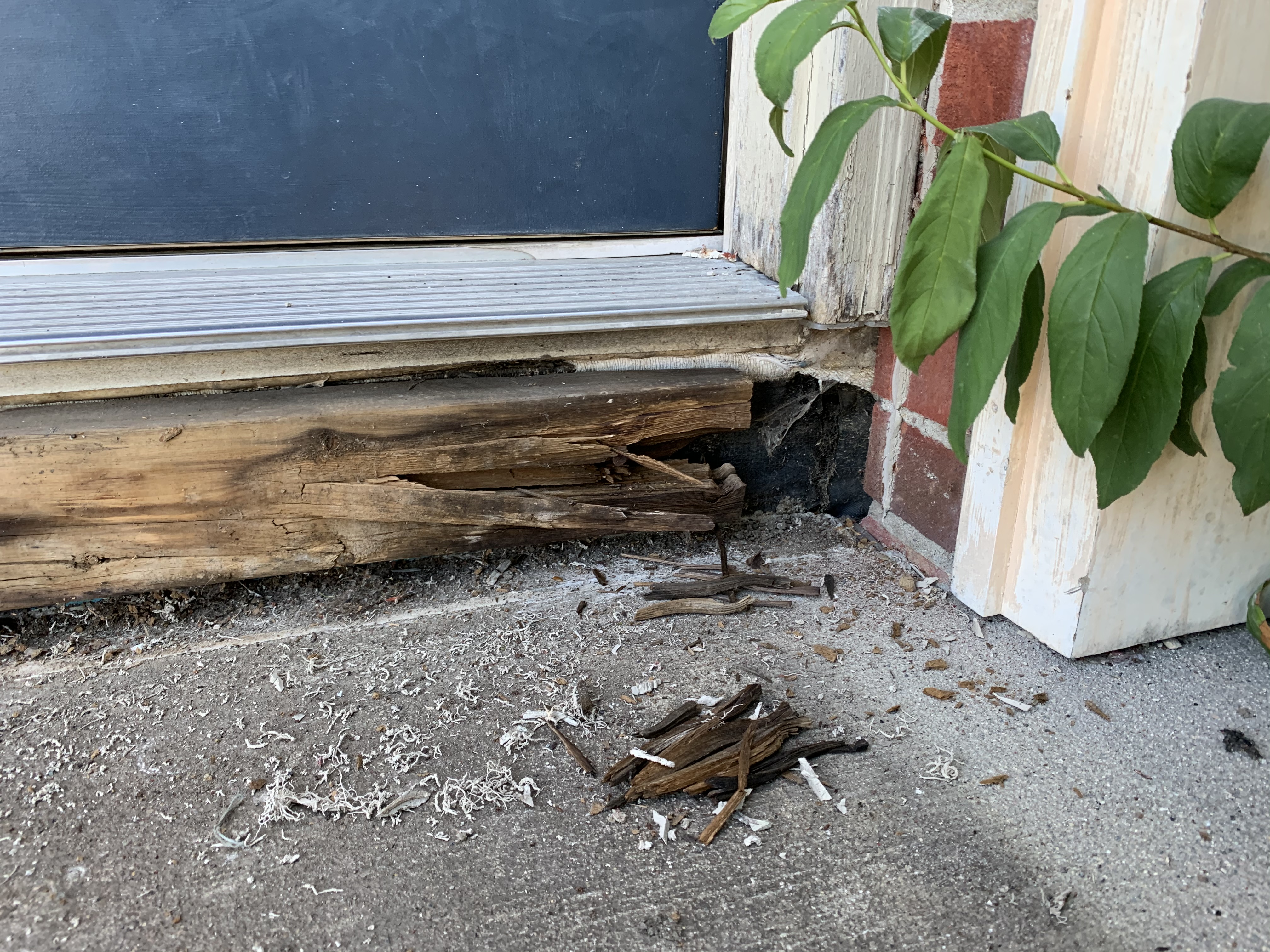 How to detect and treat wood rot in your house How to detect and treat wood rot in your house