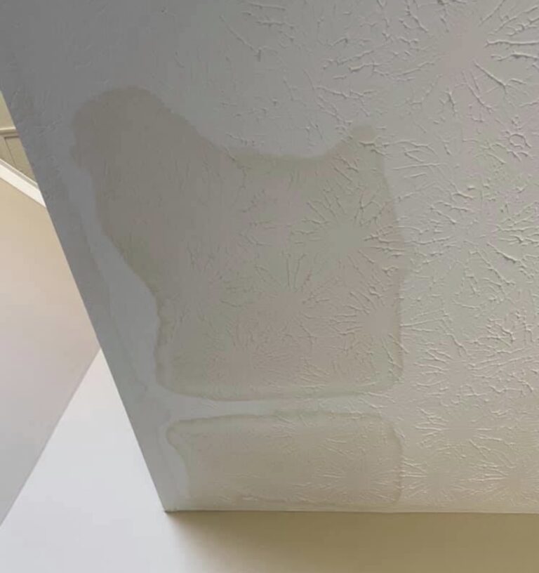 Drywall Water Damage